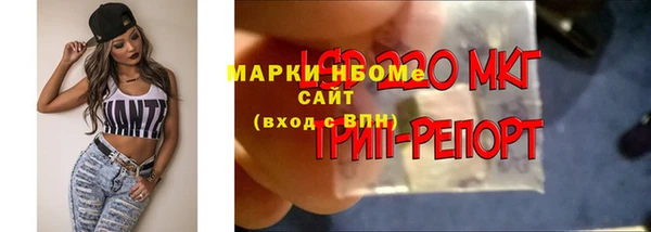 тгк Бронницы